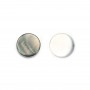 Nacre grise en perles rondes plates 8mm x 20 pcs