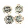 Gray mother-of-pearl rose 15mm x 1pc