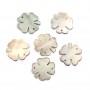 Gray mother-of-pearl four-leaf clover 13mm x 1pc