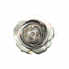 Graues Perlmutt halb durchbohrt in Form einer Rose 30mm x 1St