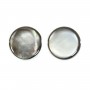 Gray Shell Flatted Elevated Round 20mm x 2pcs