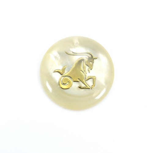 Pendant Aries mother of pearl 20mm x 1pc