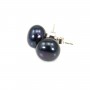Earrings : gray freshwater pearl & silver 925 9-10mm x 2pcs