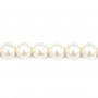 Perles de culture d'eau douce, blanche, ronde, 10-11mm x 40cm AAA