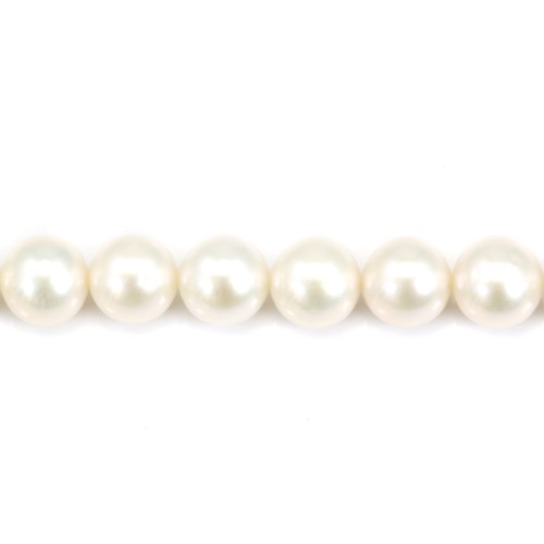 Perlas cultivadas de agua dulce, blancas, redondas, 10-11mm x 40cm AAA