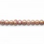 Perle coltivate d'acqua dolce, viola, ovali, 4-4,5 mm x 40 cm