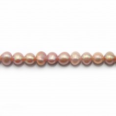 Perle coltivate d'acqua dolce, viola, ovali, 4-4,5 mm x 40 cm