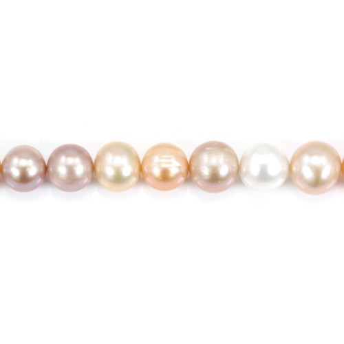Perles de culture d'eau douce, multicolore, semi-ronde, 12-14mm x 39cm