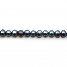 Perle coltivate d'acqua dolce, blu scuro, ovali, 5-6 mm x 36 cm