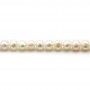 Perle coltivate d'acqua dolce, bianche, semitonde, 5-5,5 mm x 36 cm