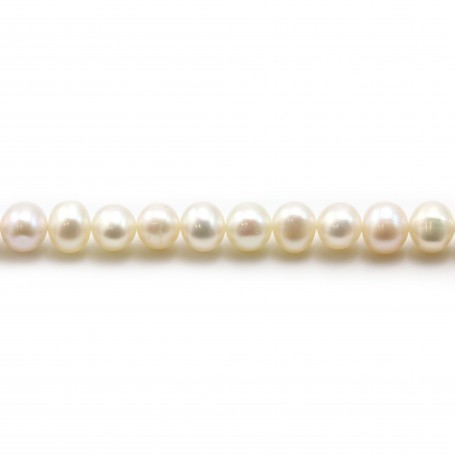 Perles de culture d'eau douce, blanche, semi-ronde, 5-5.5mm x 36cm