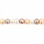 Perles de culture d'eau douce, multicolore, bouton, 6x10mm x 2pcs