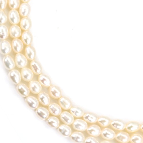 Freshwater cultured pearl, white, olive, 4.5-5mm x 36cm