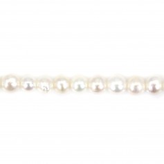 Freshwater cultured pearl, white, half-round, 3.5mm x 36cm