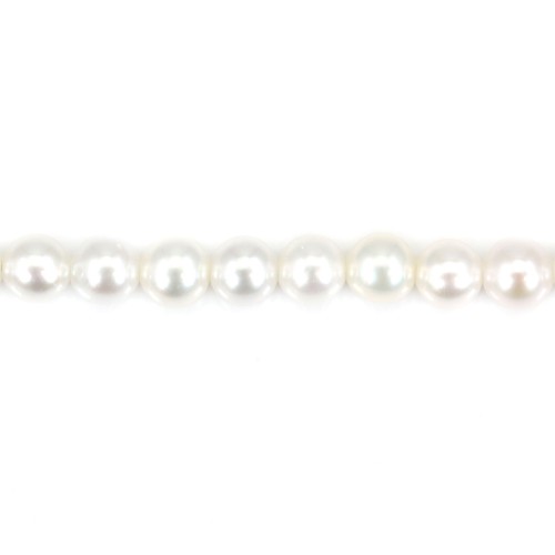Perla coltivata d'acqua dolce, bianca, rotonda, 4,5 mm, AAA x 39 cm