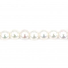 Perla cultivada de agua dulce, blanca, redonda, 3 mm, AA x 39 cm