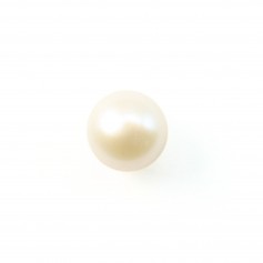 Perle de culture d'eau douce, semi-percée, blanche, ronde, 5-5.5mm x 1pc