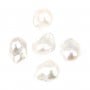 Perle de culture d'eau douce, semi-percée, blanche, baroque 15mm x 1pc