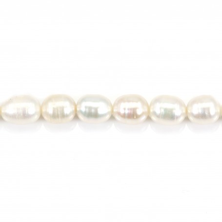 Perles d'eau douce blanches ovale 6-7mm x 40cm