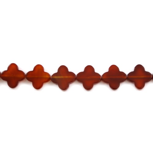 Trifoglio di agata rossa 16 mm x 2 pezzi