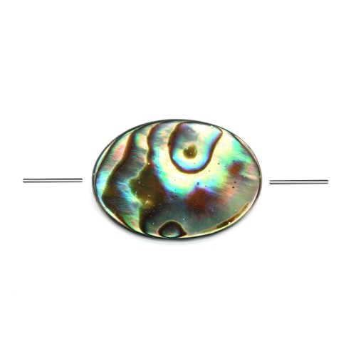 Abalone shell oval 8x10mm x 6 pcs