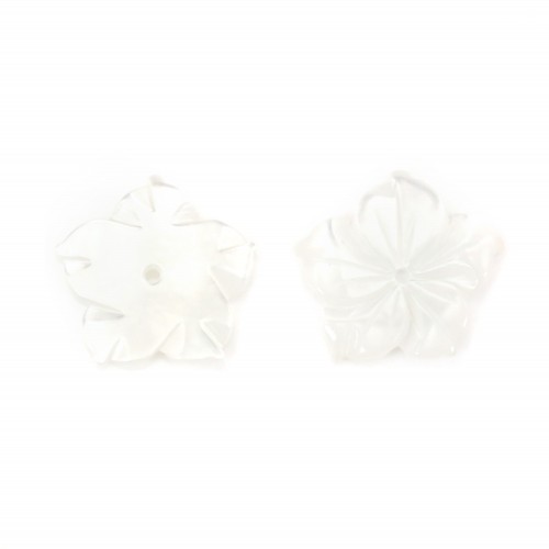 Nacre blanc 15mm en Fleur de 5 Feuilles x 1 pc