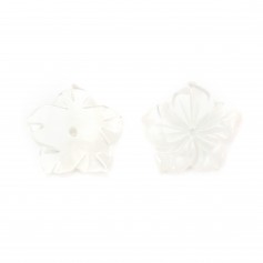 Nacre blanc 15mm en Fleur de 5 Feuilles x 1pc