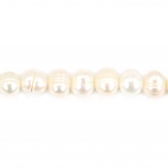 Perle coltivate d'acqua dolce, bianche, ovali, 6,5-7 mm x 37 cm