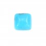 Cabochon Turquoise carré 8mm x1pc