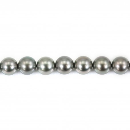 Pearls of Tahiti grey clear round 8.5-9.4mm x 40cm