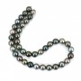 Black pearls of Tahiti round 7.8-8 in 9.5-10 mm x 40cm