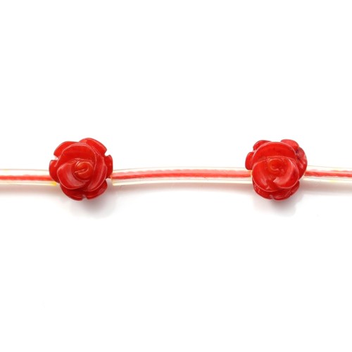 Red colored flower sea bamboo 8mm x 40cm (14pcs)