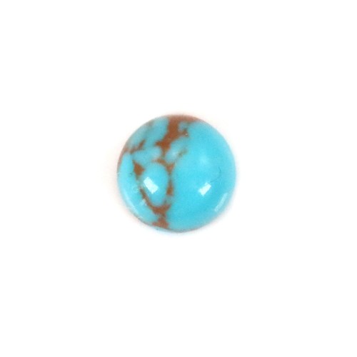 Cabochon turquoise round 6mm x 1pc