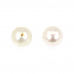 Perla di coltura d'acqua dolce, semiperforata, bianca, rotonda, 6,5-7 mm x 1 pezzo