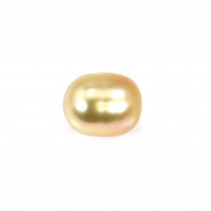 South Sea Pearl, gold, olive, 10-10.5mm x 1pc