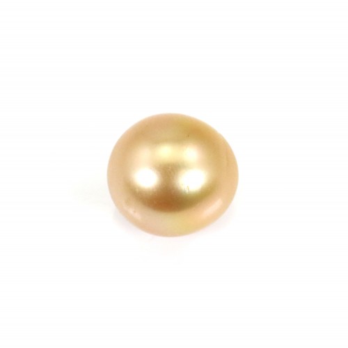 Perla de los Mares del Sur, dorada, semirredonda, 11-11,5mm x 1ud