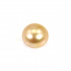 South Sea pearl, golden, half-round, 11-11.5mm x 1pc