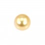 Perle des mers du Sud, dorée, semi-ronde, 11.5-12mm x 1pc