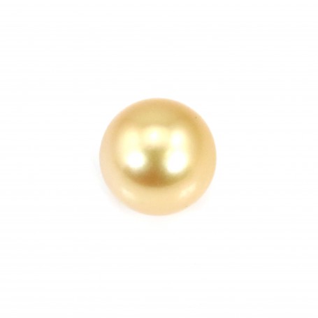 Perle des mers du Sud, dorée, semi-ronde, 11.5-12mm x 1pc