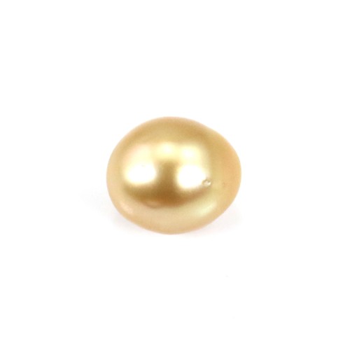 Perla dei Mari del Sud, dorata, oliva/perla, 11-11,5 mm x 1 pezzo