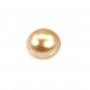 Perle des mers du Sud, dorée, semi-ronde, 12-12.5mm x 1pc