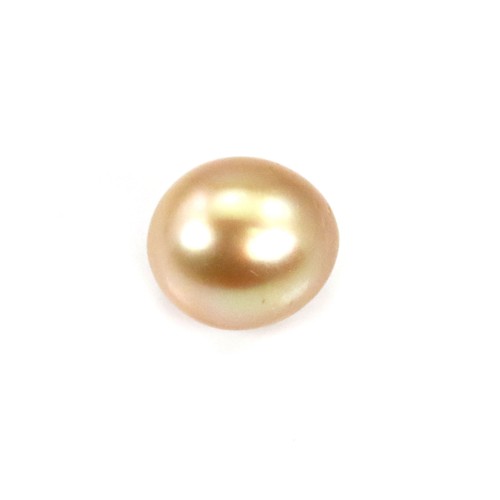 Perla dei Mari del Sud, dorata, semitonda, 12-12,5 mm x 1 pz