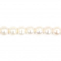 Perlas cultivadas de agua dulce, blancas, semirredondas/anilladas, 8-9mm x 36cm