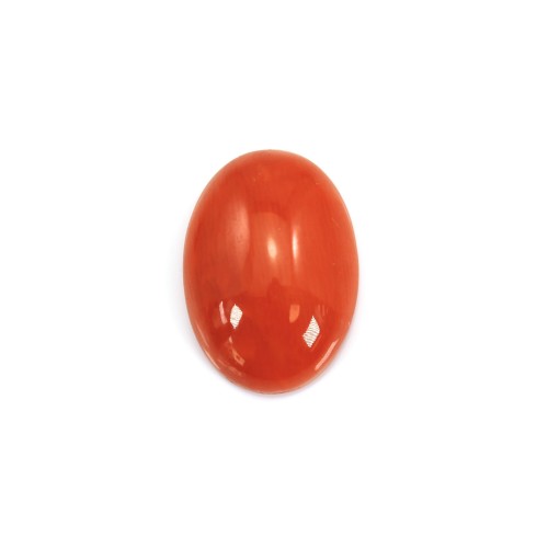 Coral Rojo Natural Cabochon Oval 10x14mm x 1pc