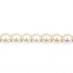 Perles de culture d'eau douce, blanche, semi-ronde, 6.5mm x 4pcs