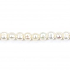 Perles de culture d'eau douce, blanche, ovale, 5mm x 38cm
