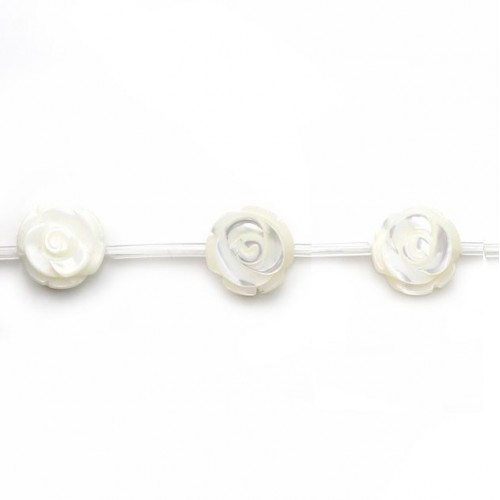 White mother-of-pearl Rose 15mm x 1pc