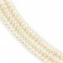 Perles d'eau douce blanches ovale 4-4.5mm x 40cm