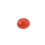 Cabochon carnelian faceted round 6mm x 2pcs