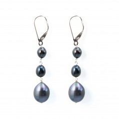 Earring :silver 925 freshwater pearl blue x 2pcs